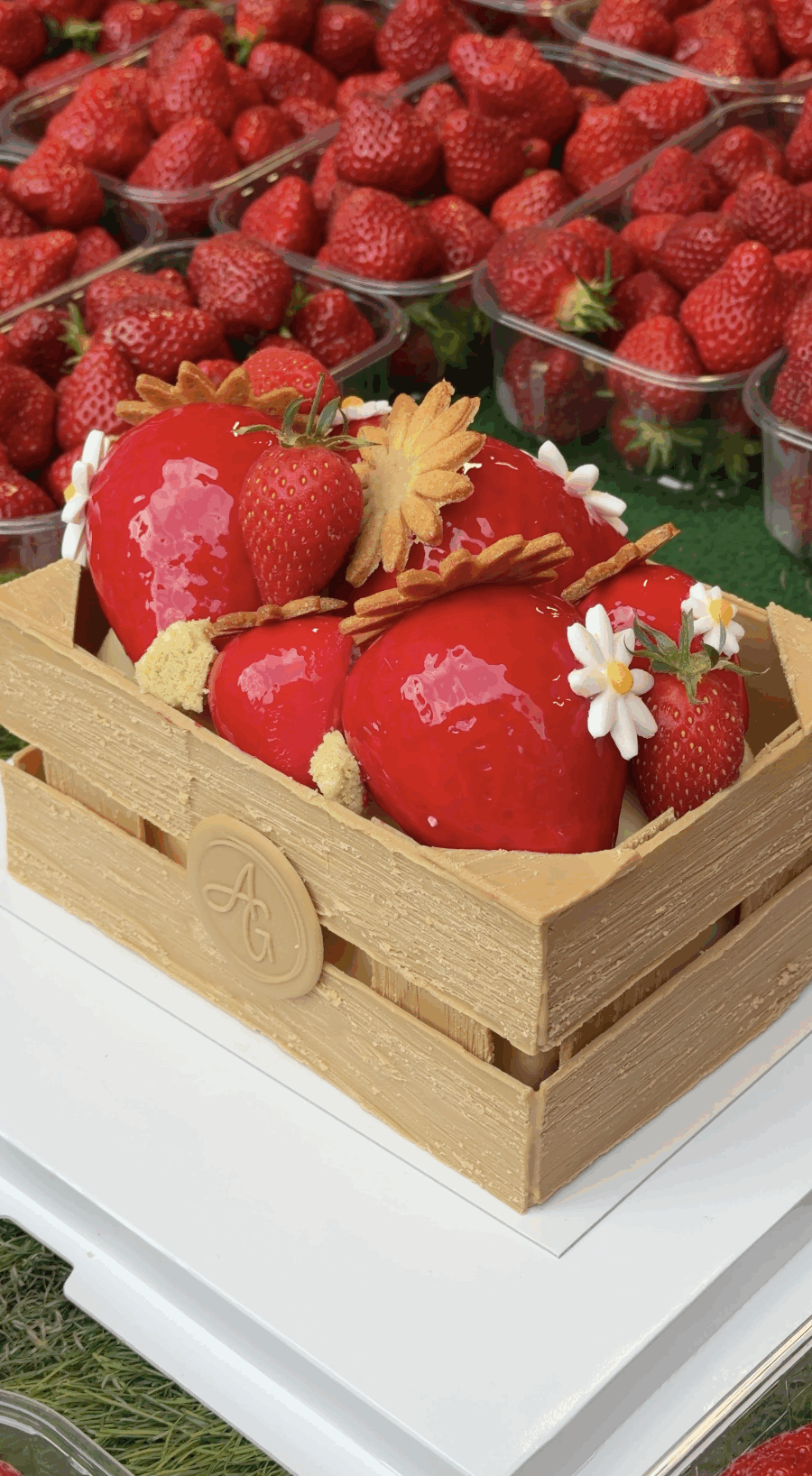 Vidéo produite pour Absolument Gourmand, boulangerie-pâtisserie vannetaise